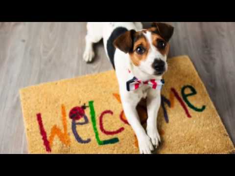 Luxury Apartments in Riverside, CA | Metro Gateway Apartments