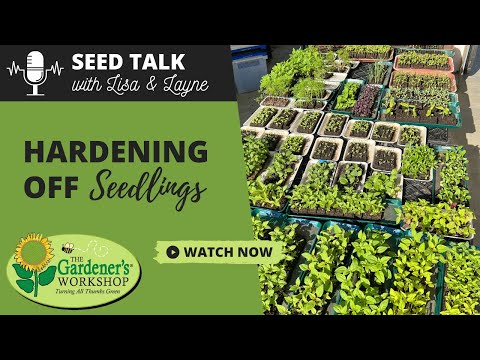, title : 'Seed Talk #26 - Hardening Off Seedlings'