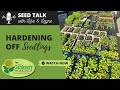 Seed Talk #26 - Hardening Off Seedlings