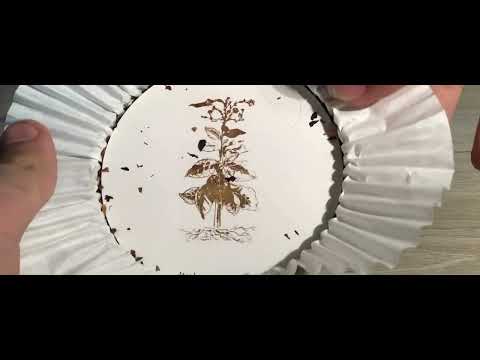 Opening a tin of Petersons connoisseur’s choice