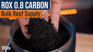 The Most Popular Carbon