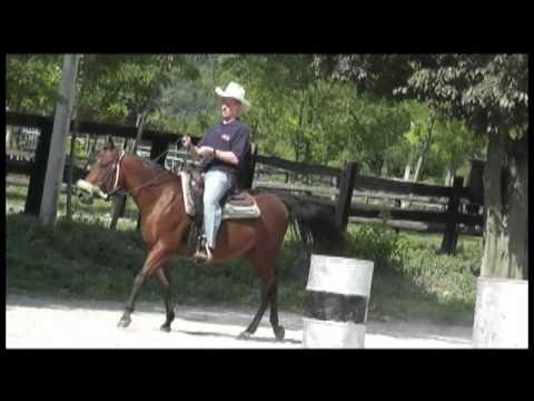 Aviano: Off Duty - Episode Three - Hey Dude Horseback Riding and Mario Kart in Pordenone