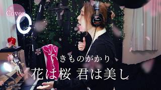 【COVER】花は桜 君は美し – いきものがかり｜HINA (Hana wa Sakura Kimi wa Utsukushi)