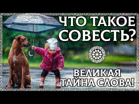 ЧТО ТАКОЕ СОВЕСТЬ? – Великая тайна слова