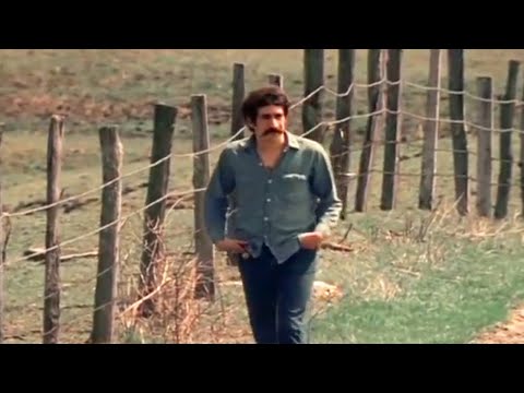 Jim Croce - Time in a Bottle (1973) (HQ Official Music Video)