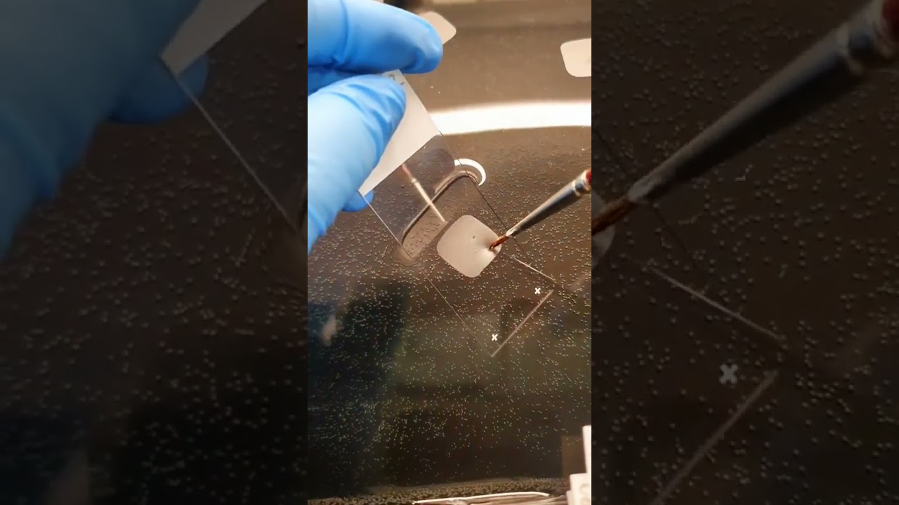 🔪Cutting Tumor into three micrometer thin slices🔪 #microtome #satisfying #cancerresearch