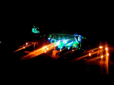 Pigeons Playing ping pong warm up Harrys Hoedown 2015