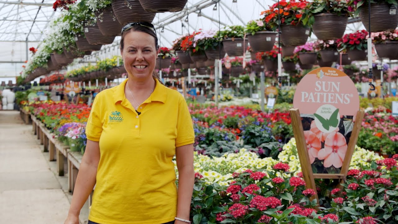 PETITTI | What's In Store July 2022