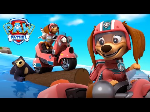 Liberty új erdei barátokat szerez | Mancs Őrjárat | PAW Patrol