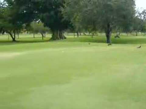 Alfredo "chirichi" Rosati