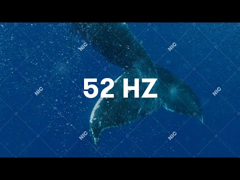 Video thumbnail for 52Hz