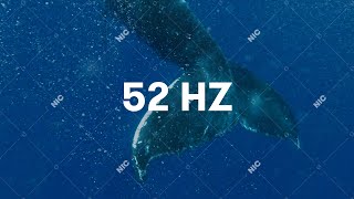 52Hz Music Video