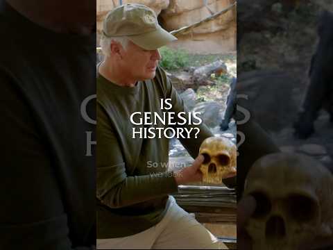 Clear evidence humans did NOT evolve from apes