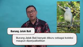 Download lagu Kelas 06 - IPA - Hewan & Tumbuhan yang Hampir Punah | Video Pendidikan Indonesia mp3 Download lagu Kelas 06 - IPA - Hewan & Tumbuhan yang Hampir Punah | Video Pendidikan Indonesia mp3