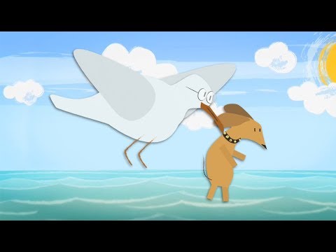 El show de perro Salchicha - Canciones Para Soñar | Petits Habitants