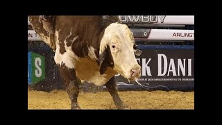Kasey Hayes puts up 88.50 points on Mississippi Hippy (PBR)