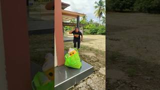 Download lagu What kind of package is it? #shorts #trending #funny #subscribe mp3 Download lagu What kind of package is it? #shorts #trending #funny #subscribe mp3