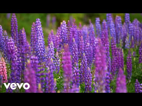 Jermaine Gordon - Elusive you