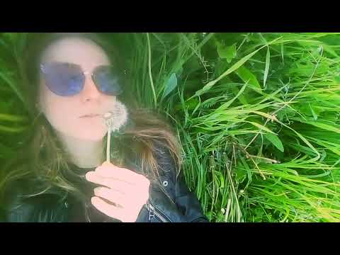 id35428805’s Video 171091831374 w8QiuF8a0eM