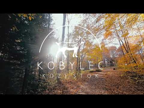 Domek na drzewie - Nad potokiem - Agroturystyka Kozi Stok Kobylec.