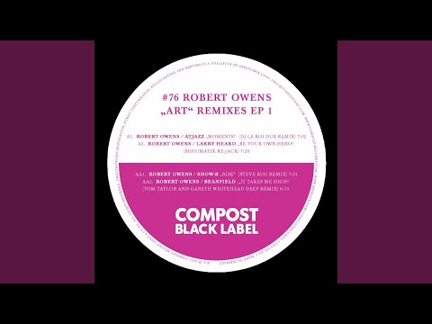 Rise (Steve Bug Remix)