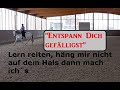 Reitvideo Ruhe Im Trab Ruhe In Beiden Köpfen