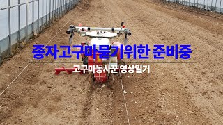 고구마농사꾼영상일기2  종자 묻기 위한 준비작업, 퇴비 유박, 살충제 살균제 살포 등