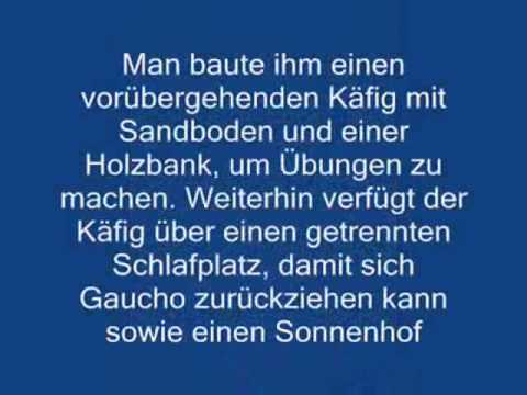 Gaucho vuelve a casa (versión en aleman)