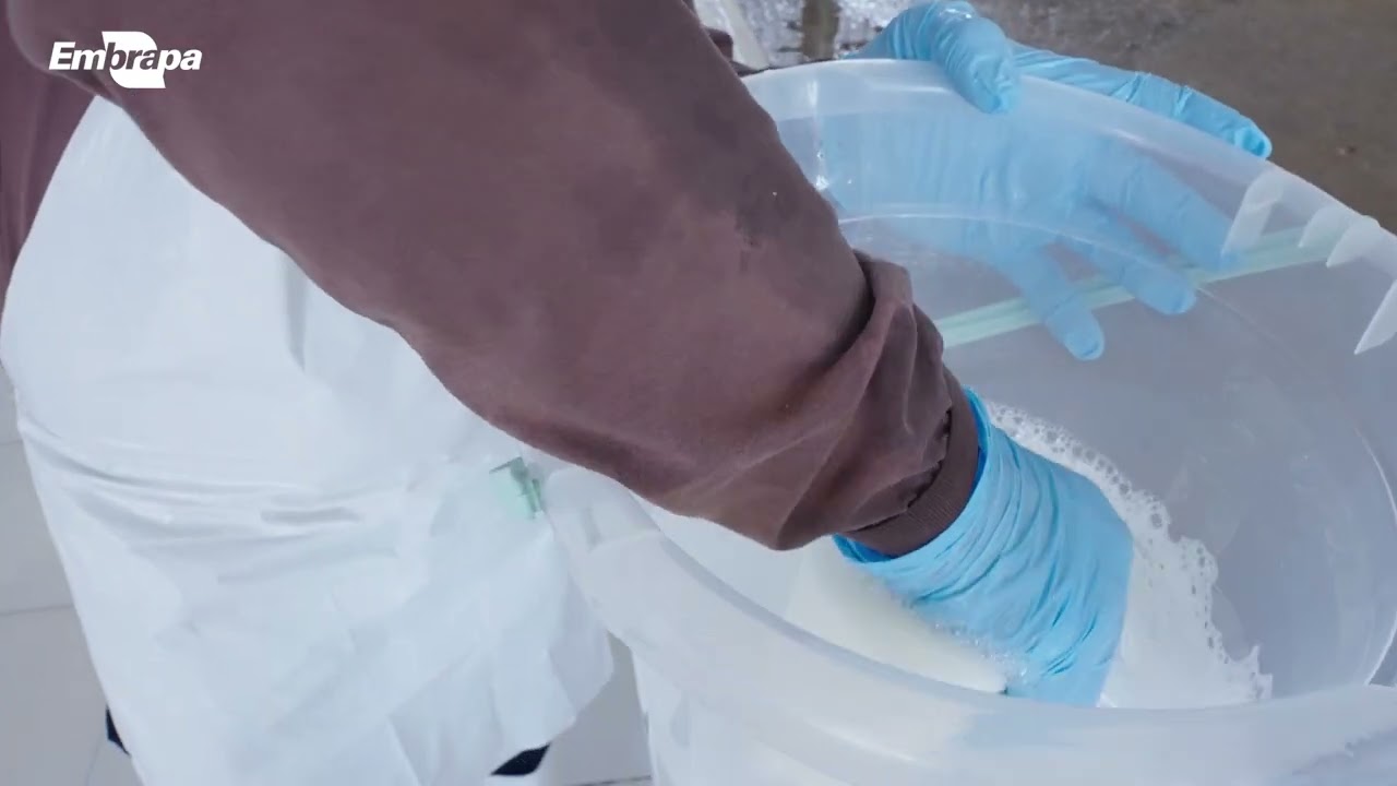 Boas práticas em qualidade do leite - cuidados com equipamentos de ordenha