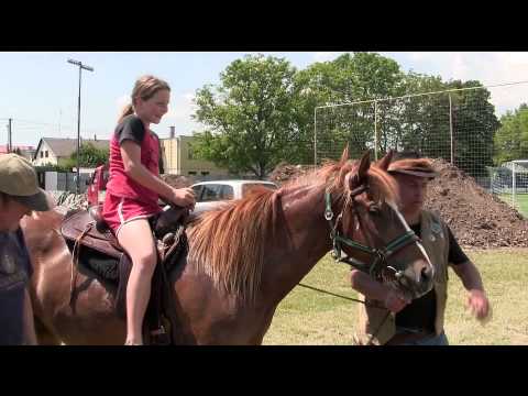 BOROVCE - MDD 2013...