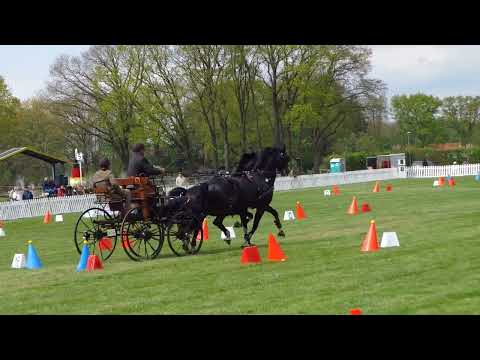 Fahrturnier Lähden 1.5.2022 (National)