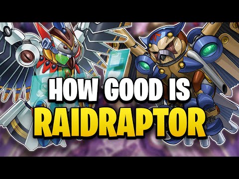 How Good is the RAIDRAPTOR Archetype?