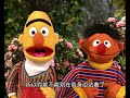 SS Bert And Ernie Bert Is Pigeon Watching