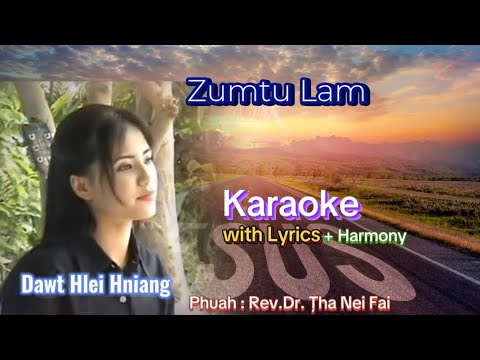 Zumtu Lam 🎤KARAOKE +Harmony ( Hniang Hniang )