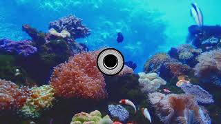 Melanie de Biasio - Brother (LamatUuc &amp; OSO Remix) FREE DOWNLOAD