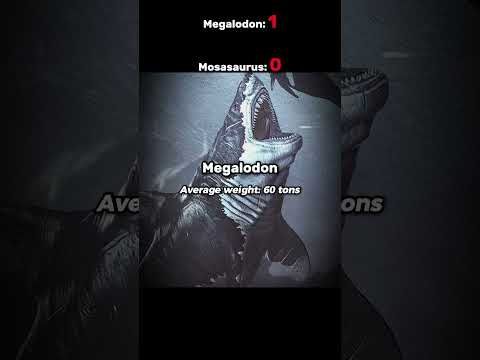 Megalodon vs Mosasaurus💀