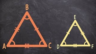 What is similarity
