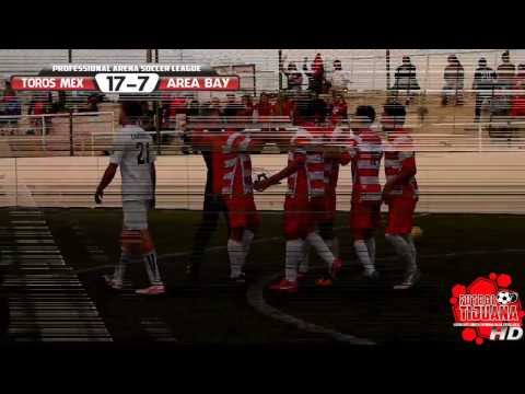 TOROS MEXICO vs AREA BAY