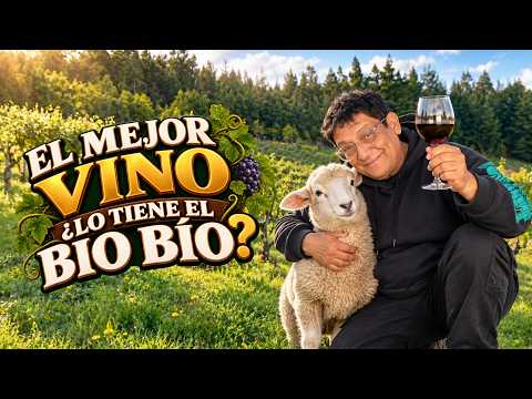 NATURALEZA Y VINOS EN SAN ROSENDO | Cultura Gastronómica