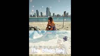 The Other guy Steviehoang