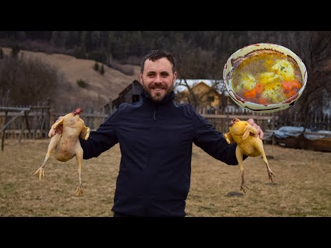 The Best Country Style Chicken SEMOLINA Dumpling Soup with CHICKENS raised by Grandma. 🐔🐔 ASMR