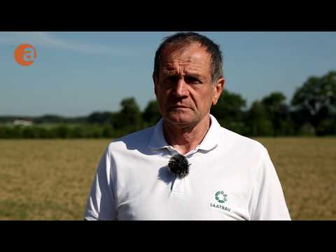 Herbizidbehandlung bei Sojabohnen