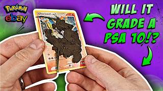 Can I Clean Pokémon Cards and Make a Profit!?