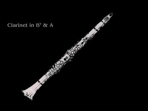23 Clarinets - Clarinet Choir - La Polonaise
