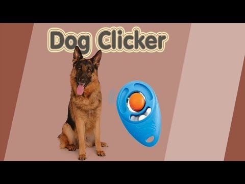 Dog Clicker, Trainer