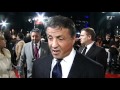 Die Stallone Story