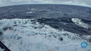 Island Princess Cruise Ship - Calming Sounds of the Atlantic Ocean Dec 2024