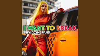 Download lagu I Want To Break mp3