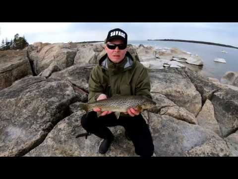 Seatrout fishing in the baltic sea 2019 spring