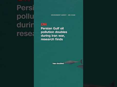 Persian Gulf oil pollution doubles during Iran war, research finds
